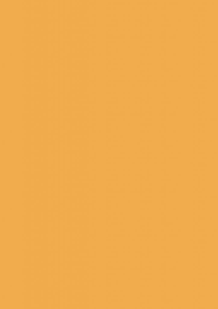 W76 Dutch Orange – Maria Tomás